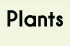 plants